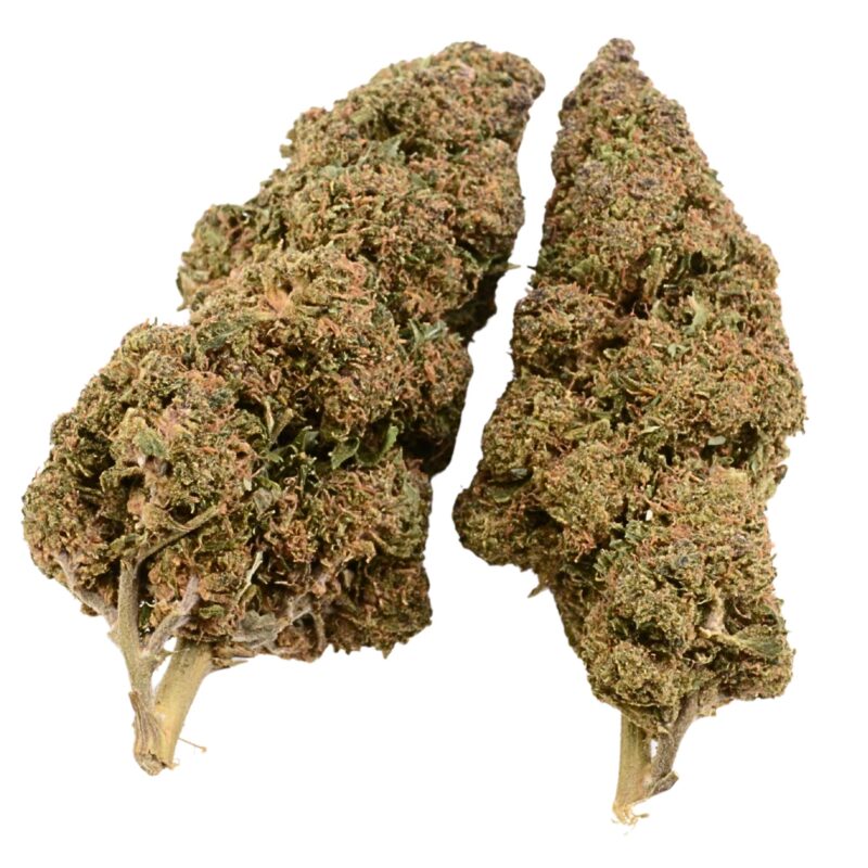 Purple Haze CBD Blüten HHC 10-OH-HHC CBG CBG9 THC Super Sauce