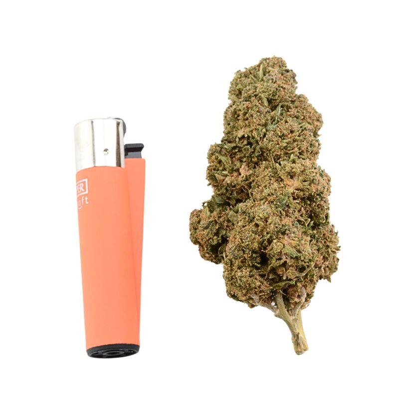 Purple Haze CBD Blüten HHC 10-OH-HHC CBG CBG9 THC Super Sauce