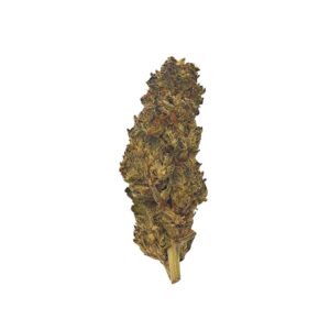 Berry Pie Cannabis Weed 10-OH-HHC HHC THC CBD Blüten Terpene