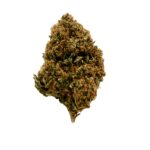 CBD Blüten,CBD Blüten kaufen,CBD Blüten legal,Hochwertige CBD Blüten,Premium CBD Blüten,CBD Shop,CBD Blüten Indoor,Jack Herer CBD,Oldschool CBD Blüten,Erdige CBD Blüten,CBD ohne THC,Terpenprofil CBD,Sativa CBD,CBD Blüten Wirkung,CBD Blüten Geschmack,CBD Blüten Erfahrung,Intensives Aroma,CBD ohne High,Legal Cannabis,CBD Klassiker,Jack Herer kaufen,CBD für Kenner,CBD Blüten kompakt,Indoor CBD Qualität,CBD Blüten Jack Herer,CBD Shop Deutschland,CBD Blüten Terpene,Labgeprüftes CBD,Legal in Deutschland,Jack Herer Aroma,Reine CBD Blüten,CBD Blüten ohne Zusatzstoffe,Authentische CBD Blüten,Sour Aroma CBD,CBD Aromaerlebnis,CBD Blüten Aroma,Harzige CBD Blüten,CBD ohne Zusatzprofile,CBD für den Alltag,CBD zum Entspannen,CBD Buds kaufen,Jack Herer strain,CBD Cannabis kaufen,THC-arme Blüten,Indoor CBD Cannabis,CBD Blüten online,Bestes CBD Deutschland,Top CBD Sorten Jack herer