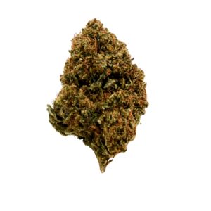 CBD Blüten,CBD Blüten kaufen,CBD Blüten legal,Hochwertige CBD Blüten,Premium CBD Blüten,CBD Shop,CBD Blüten Indoor,Jack Herer CBD,Oldschool CBD Blüten,Erdige CBD Blüten,CBD ohne THC,Terpenprofil CBD,Sativa CBD,CBD Blüten Wirkung,CBD Blüten Geschmack,CBD Blüten Erfahrung,Intensives Aroma,CBD ohne High,Legal Cannabis,CBD Klassiker,Jack Herer kaufen,CBD für Kenner,CBD Blüten kompakt,Indoor CBD Qualität,CBD Blüten Jack Herer,CBD Shop Deutschland,CBD Blüten Terpene,Labgeprüftes CBD,Legal in Deutschland,Jack Herer Aroma,Reine CBD Blüten,CBD Blüten ohne Zusatzstoffe,Authentische CBD Blüten,Sour Aroma CBD,CBD Aromaerlebnis,CBD Blüten Aroma,Harzige CBD Blüten,CBD ohne Zusatzprofile,CBD für den Alltag,CBD zum Entspannen,CBD Buds kaufen,Jack Herer strain,CBD Cannabis kaufen,THC-arme Blüten,Indoor CBD Cannabis,CBD Blüten online,Bestes CBD Deutschland,Top CBD Sorten Jack herer