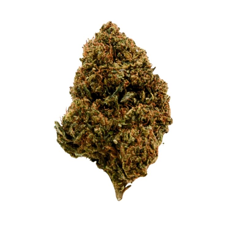 CBD Blüten,CBD Blüten kaufen,CBD Blüten legal,Hochwertige CBD Blüten,Premium CBD Blüten,CBD Shop,CBD Blüten Indoor,Jack Herer CBD,Oldschool CBD Blüten,Erdige CBD Blüten,CBD ohne THC,Terpenprofil CBD,Sativa CBD,CBD Blüten Wirkung,CBD Blüten Geschmack,CBD Blüten Erfahrung,Intensives Aroma,CBD ohne High,Legal Cannabis,CBD Klassiker,Jack Herer kaufen,CBD für Kenner,CBD Blüten kompakt,Indoor CBD Qualität,CBD Blüten Jack Herer,CBD Shop Deutschland,CBD Blüten Terpene,Labgeprüftes CBD,Legal in Deutschland,Jack Herer Aroma,Reine CBD Blüten,CBD Blüten ohne Zusatzstoffe,Authentische CBD Blüten,Sour Aroma CBD,CBD Aromaerlebnis,CBD Blüten Aroma,Harzige CBD Blüten,CBD ohne Zusatzprofile,CBD für den Alltag,CBD zum Entspannen,CBD Buds kaufen,Jack Herer strain,CBD Cannabis kaufen,THC-arme Blüten,Indoor CBD Cannabis,CBD Blüten online,Bestes CBD Deutschland,Top CBD Sorten Jack herer