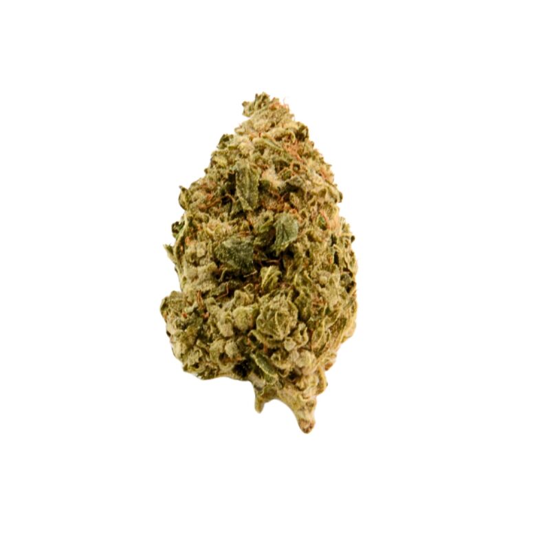 Passion Fruit Schlagwörter: CBD Blüten,CBD Blüten kaufen,CBD Blüten legal,Premium CBD Blüten,Indoor CBD Blüten,Delta HC Blüten,ΔHC Blüten kaufen,neues Cannabinoid Profil,CBD mit ΔHC,exotische CBD Blüten,Passion Fruit Blüten,fruchtige CBD Blüten,CBD Blüten mit Minze,menthol CBD,CBD für Kenner,neuartige CBD Sorte,Delta HC Wirkung,fruchtig minzige CBD Blüten,ΔHC legal,legal High Ersatz,starke CBD Blüten,alternative Cannabinoide,Indoor Hanfblüten,CBD Blüten Passion Fruit,Terpenprofil Maracuja,exotische Terpene,CBD mit Menthol,Aromablüten mit ΔHC,CBD Innovation,starke Wirkung CBD,CBD Blüten Neuheit,neues Cannabinoid ΔHC,CB1 CB2 Aktivierung,Entourage Effekt CBD,legal in Deutschland,EU Nutzhanf Blüten,CBD Blüten Online,neuartige Wirkung CBD,nicht psychoaktiv,CBD Blüten Shop,Delta HC kaufen,fruchtiger Hanf,Dicht harzige Buds,CBD Blüten aromatisch,Hanf mit ΔHC,Cannabinoid Kombination,Erlebnis ohne THC,Delta HC Wirkung,CBD Blüten mit Profil