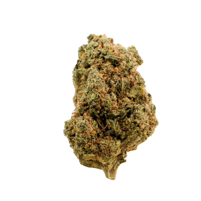 CBD Blüten, CBD Blüten kaufen, CBD Blüten legal, Hochwertige CBD Blüten, Premium CBD Blüten, CBD Blüten Online, CBD Shop, CBD Blüten Wirkung, CBD Blüten Deutschland, CBD Blüten Österreich, CBD Blüten Schweiz, Indoor CBD Blüten, Holziges Terpenprofil, Süßliche CBD Blüten, Rustikale CBD Blüten, CBD Hanfblüten, CBD Gras, CBD Blüten 2025, CBD Blüten Trends, Naturbelassene CBD Blüten, CBD Blüten ohne THC, CBD Blüten mit 10 Prozent, CBD Blüten Entspannung, Legal Cannabis, CBD Blüten rustikal, Braune Härchen Buds, Schöne CBD Buds, Handverlesene CBD Blüten, Qualitative CBD Blüten, Bestes CBD Gras, CBD ohne Rausch, CBD für Erwachsene, Entspannende CBD Blüten, CBD ohne Wirkung, CBD Blüten Beschreibung, Herbstliche CBD Blüten, CBD Blüten mit Geschmack, Sanftes CBD Erlebnis, CBD Indoor Blüte, CBD aus kontrolliertem Anbau, CBD Blüten für Kenner, CBD Blüten mit Charakter, Herbstliche Aromen, CBD Blüten Holzgeschmack, CBD Blüten süß, Unverwechselbare CBD Blüten, Naturreines CBD, CBD Blüten bestellen, CBD Blüten Shop, Neue CBD Sorte Solar Rust