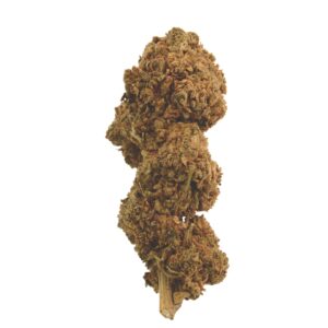 CBD Blüten,CBD Blüten kaufen,CBD Blüten legal,Hochwertige CBD Blüten,Premium CBD Blüten,CBD Shop,CBD Indoor Blüten,White Widow CBD,CBD White Widow,Super Sauce,CBD Super Sauce,CBD Blüten Super Sauce,CBD Blüten Wirkung,Legal CBD Blüten,Starke CBD Blüten,CBD Blüten Erfahrung,Entspannende CBD Blüten,CBD Blüten Online,CBD Blüten bestellen,Harzige CBD Blüten,Dunkle CBD Blüten,CBD Aroma,Oldschool CBD Blüten,CBD Blüten Geschmack,Saurer Hanfduft,Pinienaroma,CBD Genetik,CBD ohne THC,THC freie Blüten,CBD Blüten EU-legal,CBD Terpene,CBD Indoor,Weed ohne THC,Super Sauce Wirkung,CBD Cannabinoide,Indoor Cannabis legal,CBD Blüten aromatisch,CBD Blüten Shop Deutschland,CBD Entspannung,CBD Wirkung,Super Sauce Erfahrung,CBD Hanfblüten,CBD Blüten mit Aroma,CBD Aromaöl,CBD Nutzhanf,CBD für Kenner,CBD mit 30%,Starke Cannabinoide,CBD Blüten Klassiker,White Widow Sorte,CBD ohne Rausch