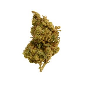 CBD Blüten,CBD Blüten kaufen,CBD Blüten legal,Hochwertige CBD Blüten,Premium CBD Blüten,Indoor CBD Blüten,Strawberry CBD,CBD Blüten mit Geschmack,Superior Blend H3,CBD Blend,Cannabinoid Profil,Helle CBD Blüten,fruchtige CBD Blüten,minzige CBD Blüten,Erdbeer CBD,CBD Shop,CBD Blüten Shop,legaler Hanf,CBD online kaufen,CBD Blüten Deutschland,aromatische CBD Blüten,starke CBD Blüten,CBD Blüten ohne THC,neue CBD Sorte,besonderes Cannabinoid Profil,CBD Blüten neu,CBD für Kenner,Strawberry Indoor,EU Nutzhanf,CBD ohne Wirkung,rauchfreie CBD Blüten,Kristallstruktur Blüten,legale Cannabis Blüten,Erfrischende CBD Blüten,neuartige CBD Blüten,CBD Blüten Wirkung,legaler Hanf Deutschland,Terpene CBD,CBD Geschmackserlebnis,Hanfblüten kaufen,Hanfblüten Erdbeer,Minz Aroma Hanf,Entourage Effekt CBD,CBD Blüten Superior Blend,CBD Innovation,Hanfprodukt legal,CBD Trends 2025,Strawberry H3 Blend,CBD Blüten Superior AK-47 HHZ