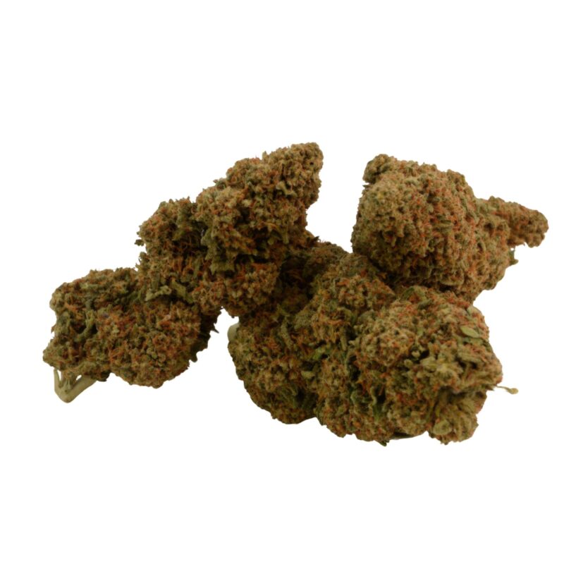 CBD Blüten,CBD Blüten kaufen,Delta HC,Delta HC Blüten,Mango Kush CBD,Mango Kush Blüten,CBD Indoor Blüten,CBD Blüten Wirkung,Legal Cannabis Blüten,CBD Blüten Shop,Premium CBD Blüten,Hanfblüten mit CBD,CBD Blüten Mango Aroma,CBD Tropen Aroma,CBD mit Kiefernote,CBD Blüten Delta HC,CBD Blüten online kaufen,CBD Shop Deutschland,CBD Blüten hochdosiert,Delta HC Wirkung,CBD ohne THC,CBD mit ΔHC,CBD Blüten Beschreibung,CBD Buds kaufen,CBD Blüten legal kaufen,CBD Blüten Erfahrungen,Starke CBD Blüten,Buschige CBD Blüten,Orangene Härchen Blüten,CBD Terpene,Mango Kush Indoor,Delta HC EU legal,CBD Blüten Empfehlung,CBD Hanfblüten Indoor,Delta HC Profil,CBD Blüten Analyse,CBD Blüten Laborgeprüft,CBD Indica dominant,CBD Blüten Aroma,Kush CBD Blüten,CBD Blüten für Kenner,Delta HC Aroma,CBD Shop Empfehlungen,Legal High Alternative,Hanf mit Mango Aroma,CBD Blüten THC < 0,1,CBD Neuheit 2025,CBD Blüten kaufen Deutschland Mango Kush