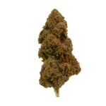 CBD Blüten,CBD Blüten kaufen,Delta HC,Delta HC Blüten,Mango Kush CBD,Mango Kush Blüten,CBD Indoor Blüten,CBD Blüten Wirkung,Legal Cannabis Blüten,CBD Blüten Shop,Premium CBD Blüten,Hanfblüten mit CBD,CBD Blüten Mango Aroma,CBD Tropen Aroma,CBD mit Kiefernote,CBD Blüten Delta HC,CBD Blüten online kaufen,CBD Shop Deutschland,CBD Blüten hochdosiert,Delta HC Wirkung,CBD ohne THC,CBD mit ΔHC,CBD Blüten Beschreibung,CBD Buds kaufen,CBD Blüten legal kaufen,CBD Blüten Erfahrungen,Starke CBD Blüten,Buschige CBD Blüten,Orangene Härchen Blüten,CBD Terpene,Mango Kush Indoor,Delta HC EU legal,CBD Blüten Empfehlung,CBD Hanfblüten Indoor,Delta HC Profil,CBD Blüten Analyse,CBD Blüten Laborgeprüft,CBD Indica dominant,CBD Blüten Aroma,Kush CBD Blüten,CBD Blüten für Kenner,Delta HC Aroma,CBD Shop Empfehlungen,Legal High Alternative,Hanf mit Mango Aroma,CBD Blüten THC < 0,1,CBD Neuheit 2025,CBD Blüten kaufen Deutschland Mango Kush