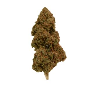 CBD Blüten,CBD Blüten kaufen,Delta HC,Delta HC Blüten,Mango Kush CBD,Mango Kush Blüten,CBD Indoor Blüten,CBD Blüten Wirkung,Legal Cannabis Blüten,CBD Blüten Shop,Premium CBD Blüten,Hanfblüten mit CBD,CBD Blüten Mango Aroma,CBD Tropen Aroma,CBD mit Kiefernote,CBD Blüten Delta HC,CBD Blüten online kaufen,CBD Shop Deutschland,CBD Blüten hochdosiert,Delta HC Wirkung,CBD ohne THC,CBD mit ΔHC,CBD Blüten Beschreibung,CBD Buds kaufen,CBD Blüten legal kaufen,CBD Blüten Erfahrungen,Starke CBD Blüten,Buschige CBD Blüten,Orangene Härchen Blüten,CBD Terpene,Mango Kush Indoor,Delta HC EU legal,CBD Blüten Empfehlung,CBD Hanfblüten Indoor,Delta HC Profil,CBD Blüten Analyse,CBD Blüten Laborgeprüft,CBD Indica dominant,CBD Blüten Aroma,Kush CBD Blüten,CBD Blüten für Kenner,Delta HC Aroma,CBD Shop Empfehlungen,Legal High Alternative,Hanf mit Mango Aroma,CBD Blüten THC < 0,1,CBD Neuheit 2025,CBD Blüten kaufen Deutschland Mango Kush