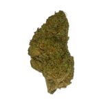 Animal Cookies