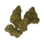 Animal Cookies Haufen