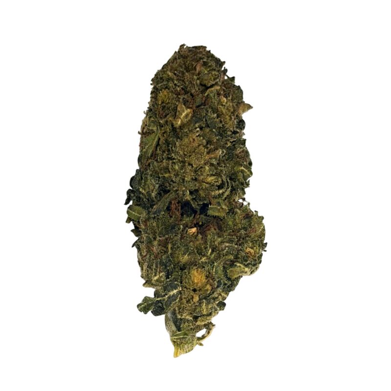 Gelato H3